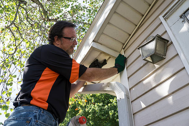 Affordable Siding Repair and Maintenance Services in San Lorenzo, CA